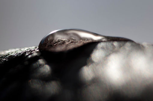 Muriel Despiau - Drop of light