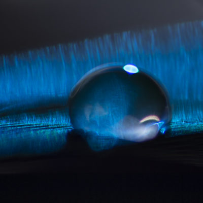 goutte d'art