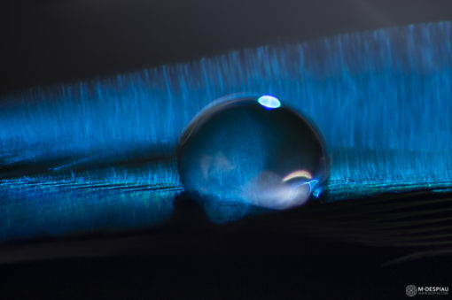 goutte d'art